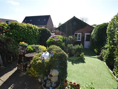 Picture 20